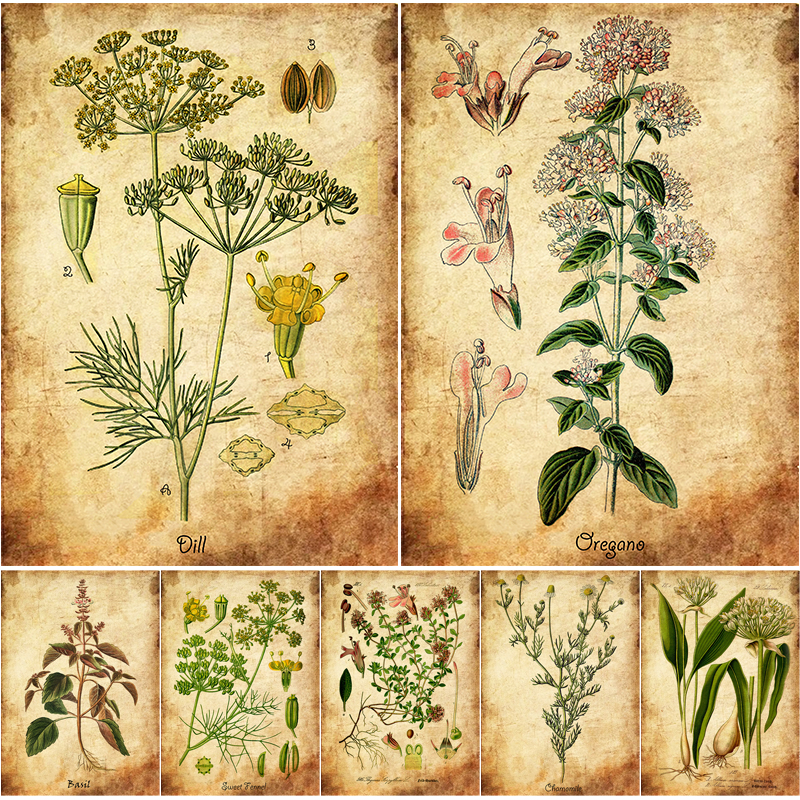 Herb Flowers Retro Poster Vint - đánh giá và giá Herbal Wallpaper